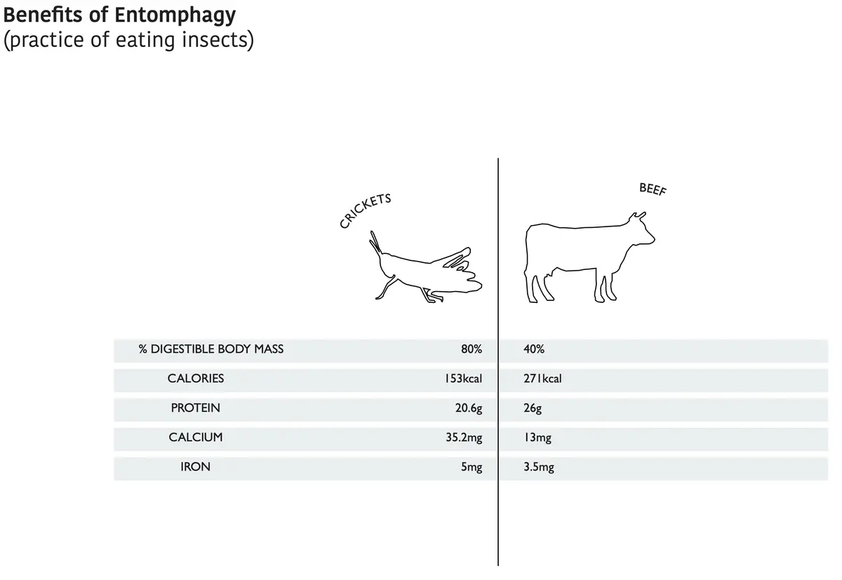 Proposed system for edible insects - Sita Patel Edible Systems 3.png